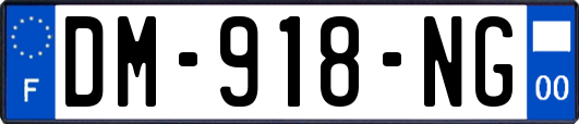 DM-918-NG