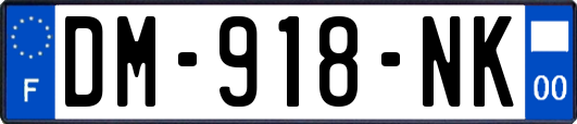 DM-918-NK
