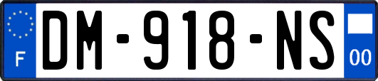 DM-918-NS