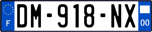 DM-918-NX