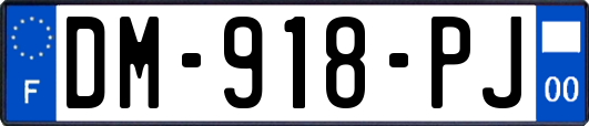 DM-918-PJ