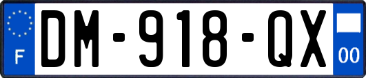 DM-918-QX