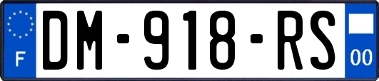 DM-918-RS