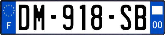DM-918-SB