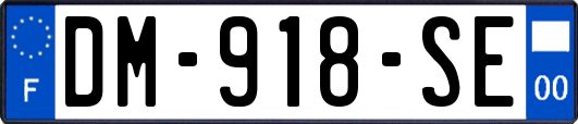 DM-918-SE
