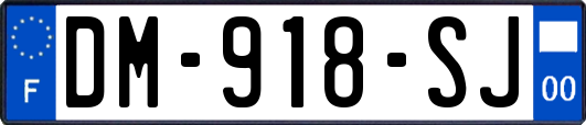 DM-918-SJ