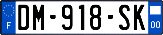 DM-918-SK