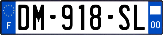 DM-918-SL