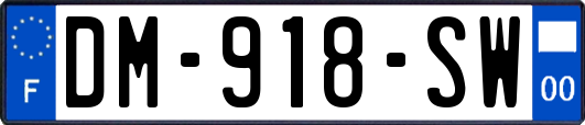DM-918-SW