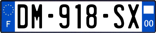 DM-918-SX
