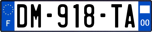 DM-918-TA