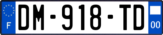 DM-918-TD