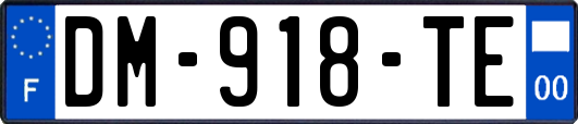 DM-918-TE