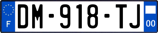 DM-918-TJ