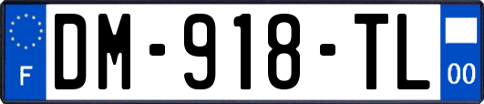 DM-918-TL