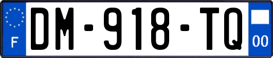 DM-918-TQ