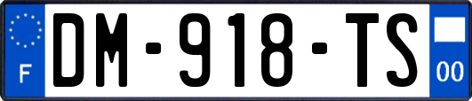 DM-918-TS