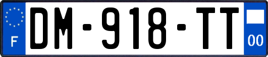 DM-918-TT
