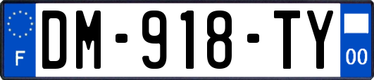 DM-918-TY
