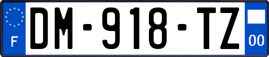 DM-918-TZ