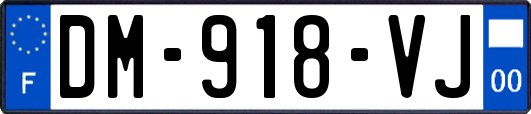 DM-918-VJ