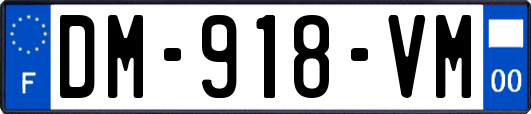 DM-918-VM