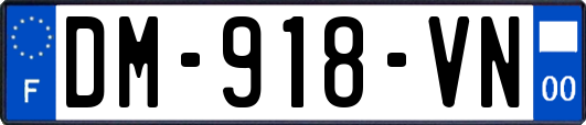 DM-918-VN