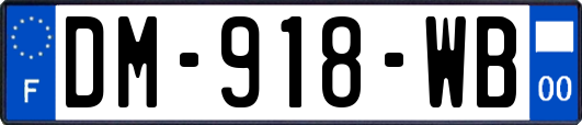 DM-918-WB