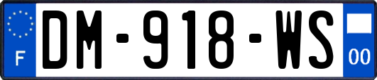 DM-918-WS