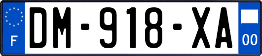 DM-918-XA