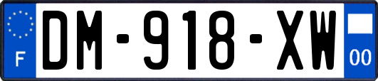 DM-918-XW