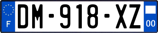 DM-918-XZ