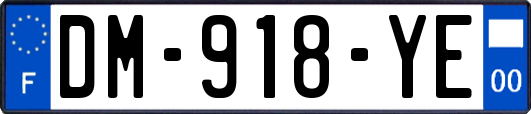 DM-918-YE