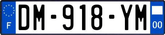 DM-918-YM