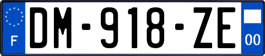 DM-918-ZE