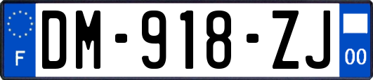 DM-918-ZJ