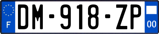 DM-918-ZP