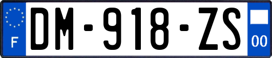 DM-918-ZS