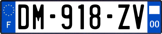 DM-918-ZV