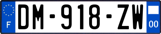 DM-918-ZW