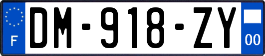 DM-918-ZY