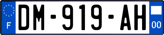 DM-919-AH