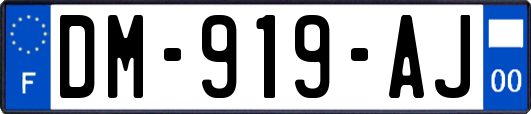 DM-919-AJ