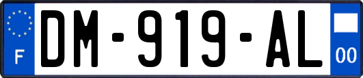 DM-919-AL