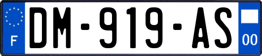 DM-919-AS