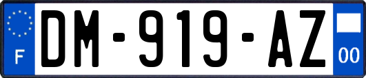 DM-919-AZ