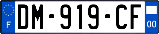 DM-919-CF