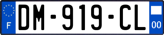 DM-919-CL