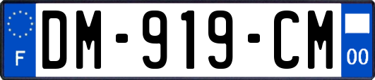 DM-919-CM