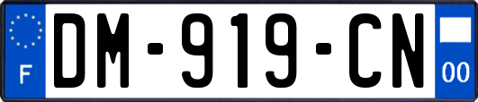 DM-919-CN